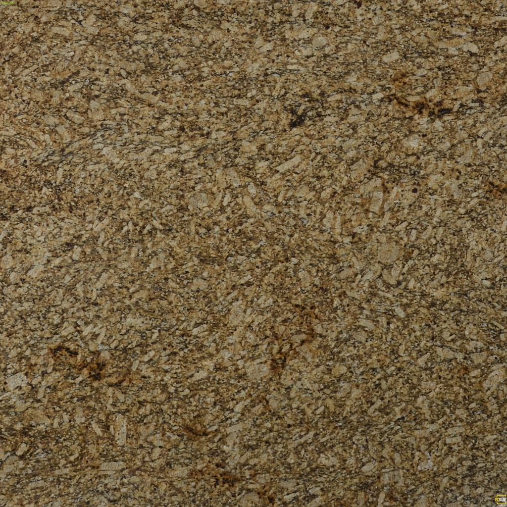 New Venetian Gold